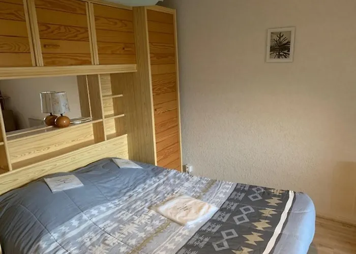 Lägenhet Confortable F2 Bis Avec Balcon Au Pied Des Pistes Et Parking, - Fr-1-415-170