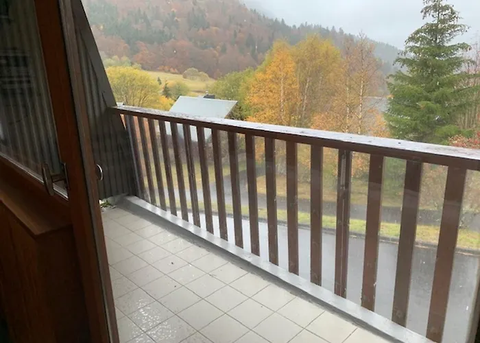 Confortable F2 Bis Avec Balcon Au Pied Des Pistes Et Parking, - Fr-1-415-170 Lägenhet Mont-Dore